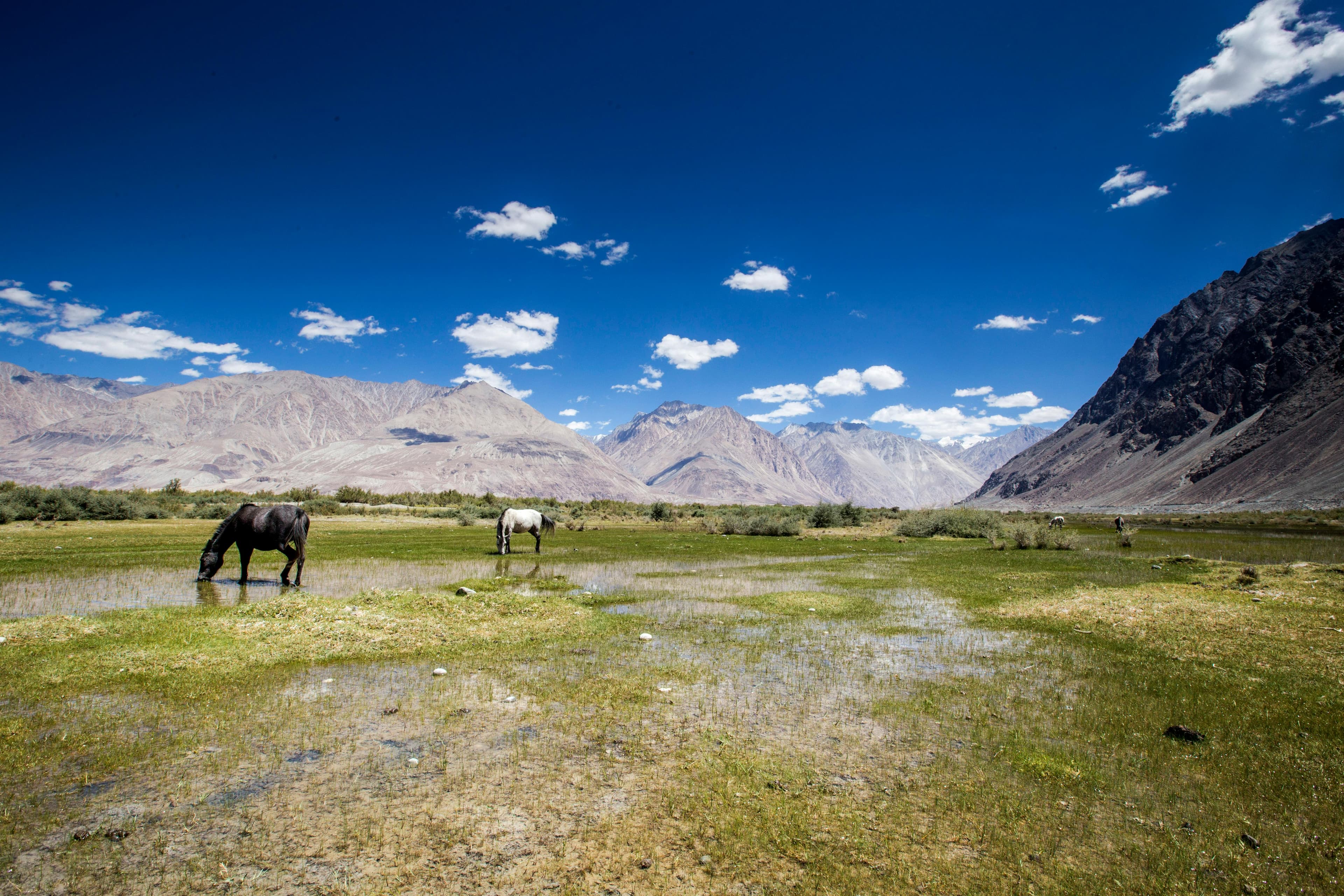 Nubra Valley